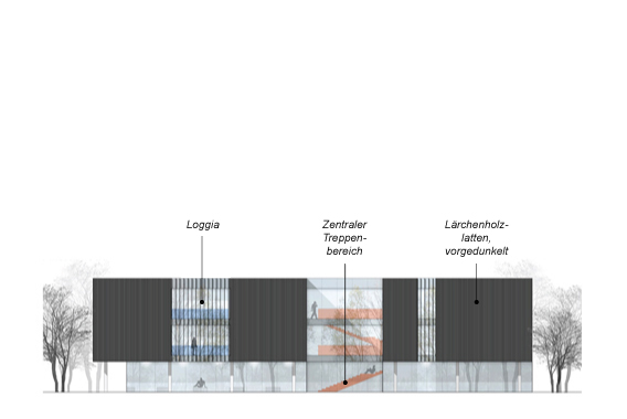 Die Fassade wird bezugnehmend auf das ländliche Umfeld durch vorgedunkelte Latten aus Lärchenholz verkleidet